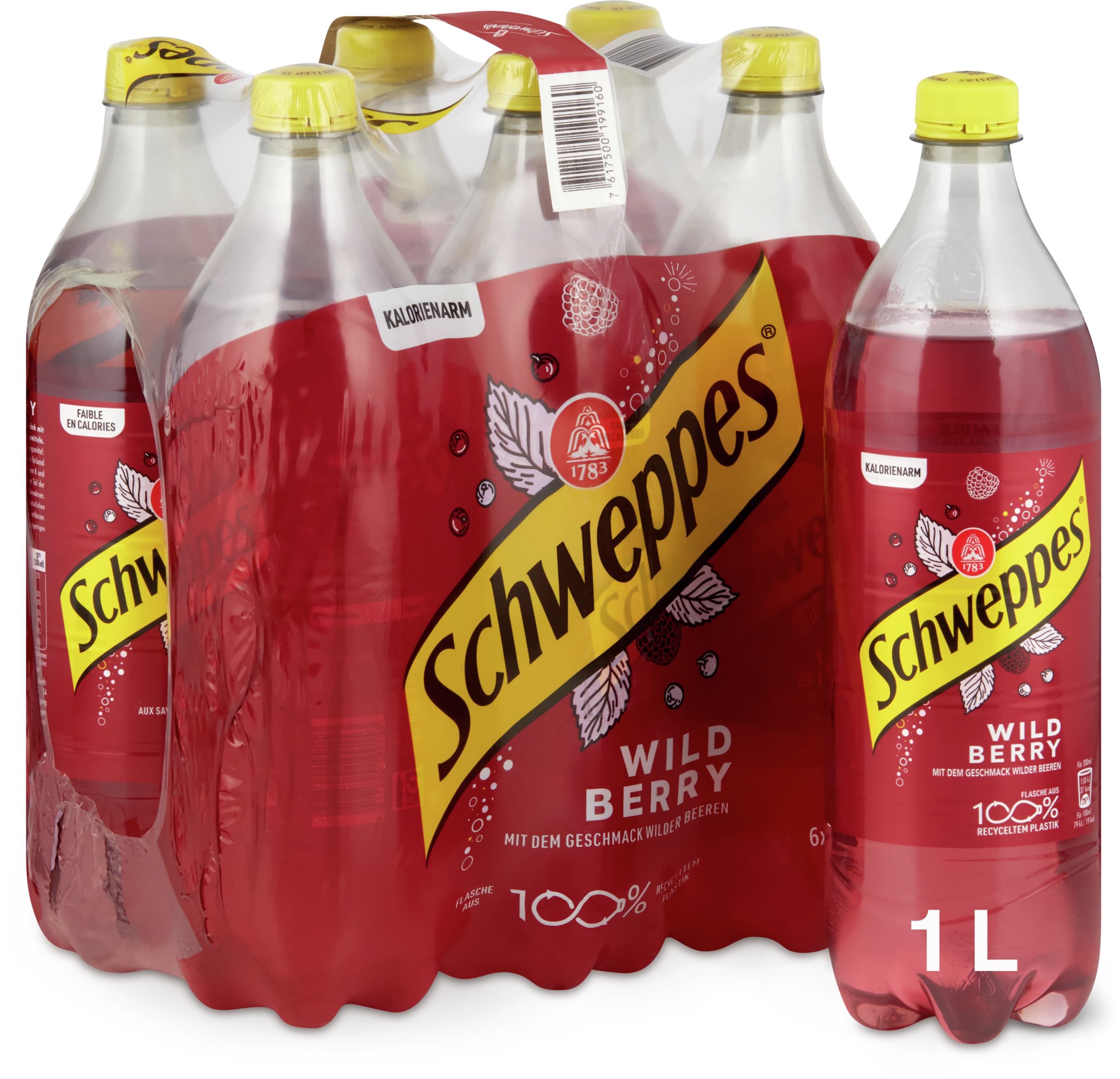 Schweppes Bibita Wild Berry 6x1l